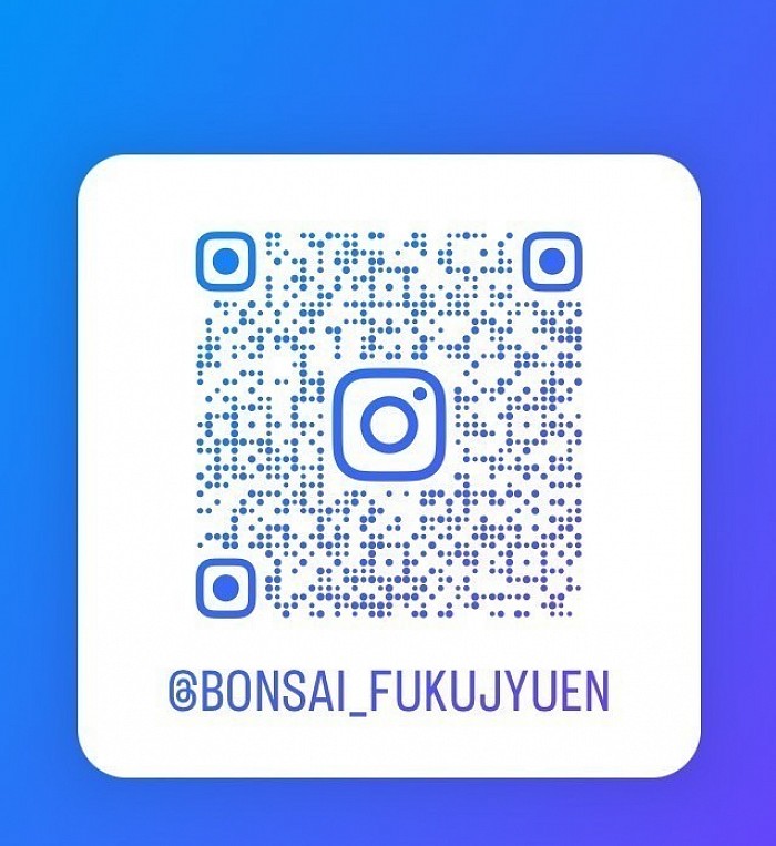 https://instagram.com/bonsai_fukujyuen